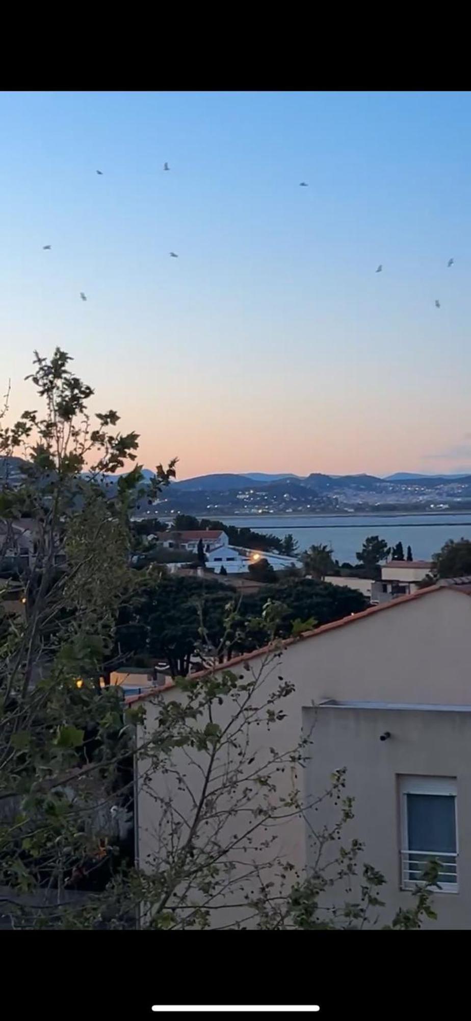 Ferienwohnung Superbe Duplex Refait A Neuf ! Hyères Exterior foto